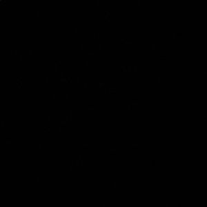 Meet your Posher, Maysa